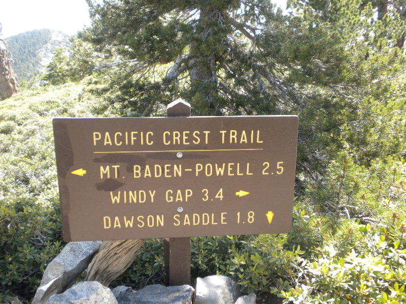 badenpowell710 010.jpg
